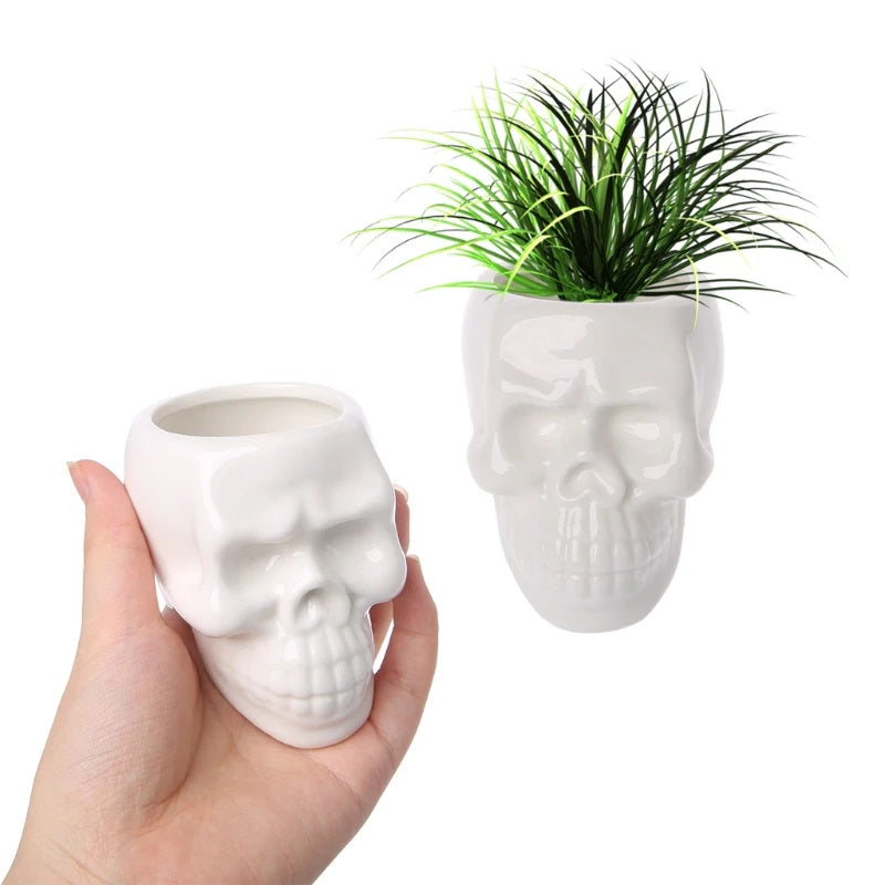 Skull Succulent Pot